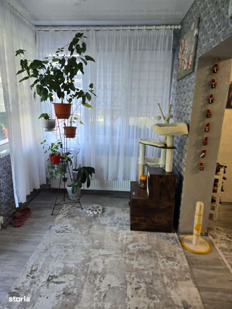 Casă în Cărășeu-11