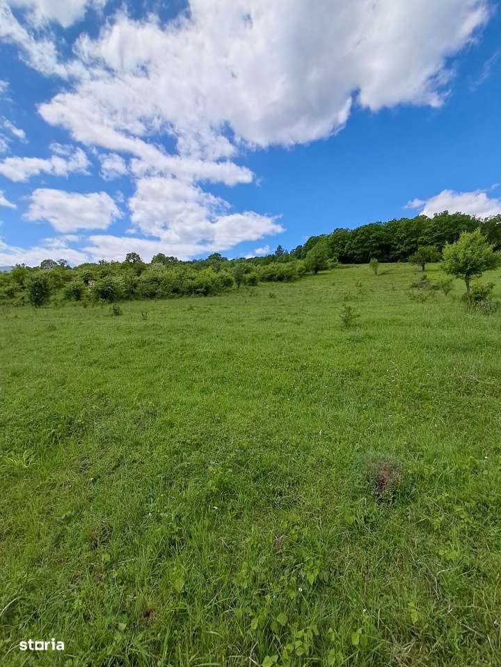 Parcelele cu cele mai bune preturi din judet-8
