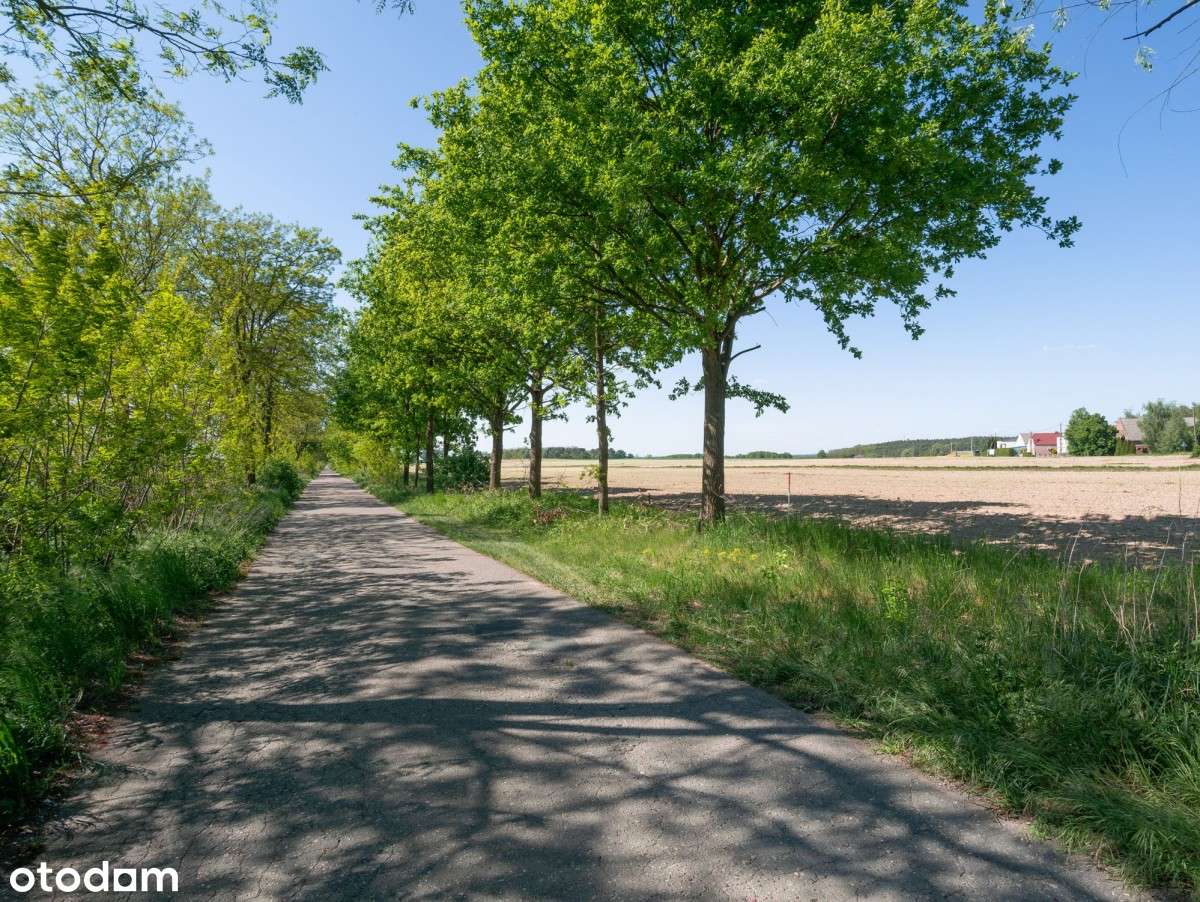 DZIAŁKI BUDOWLANE NA SPRZEDAŻ - BLISKO MOSINY 120 zł/mkw!-8