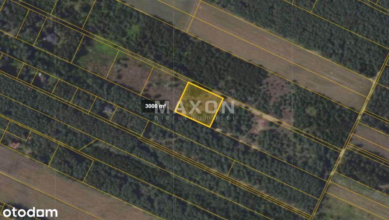 Kępiaste, działka rolna 3 000 mkw. - Pełny obrazek: 5/7