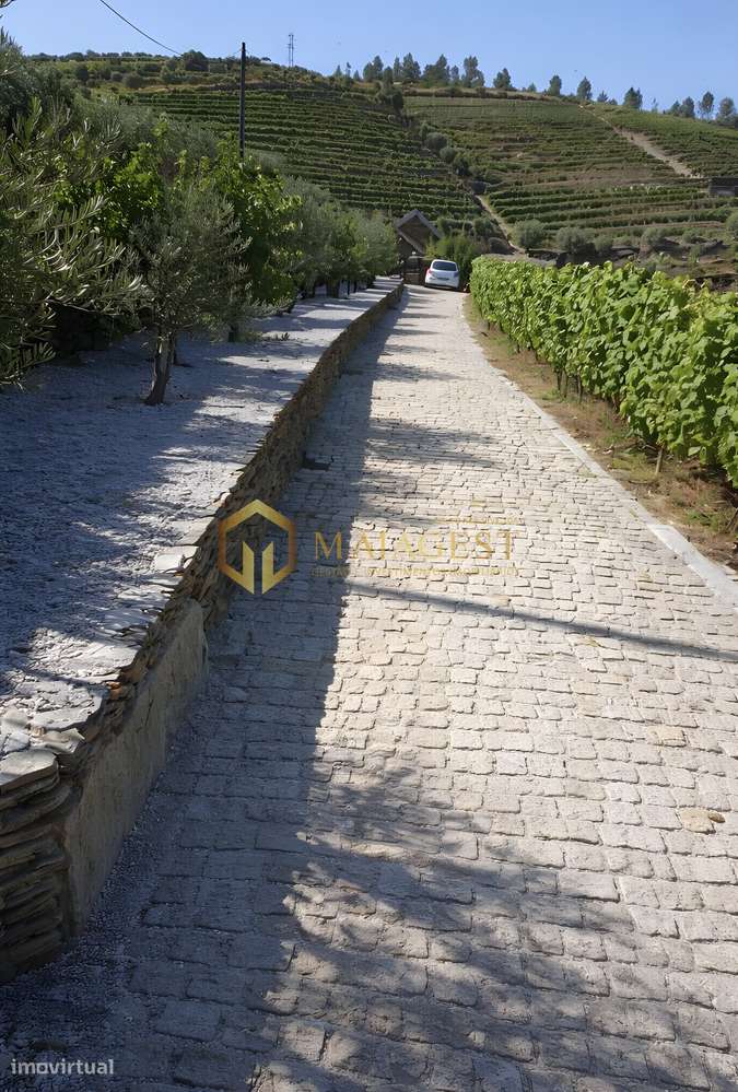 Encantadora Quinta com Vista Rio no Coração do Douro - Grande imagem: 2/12