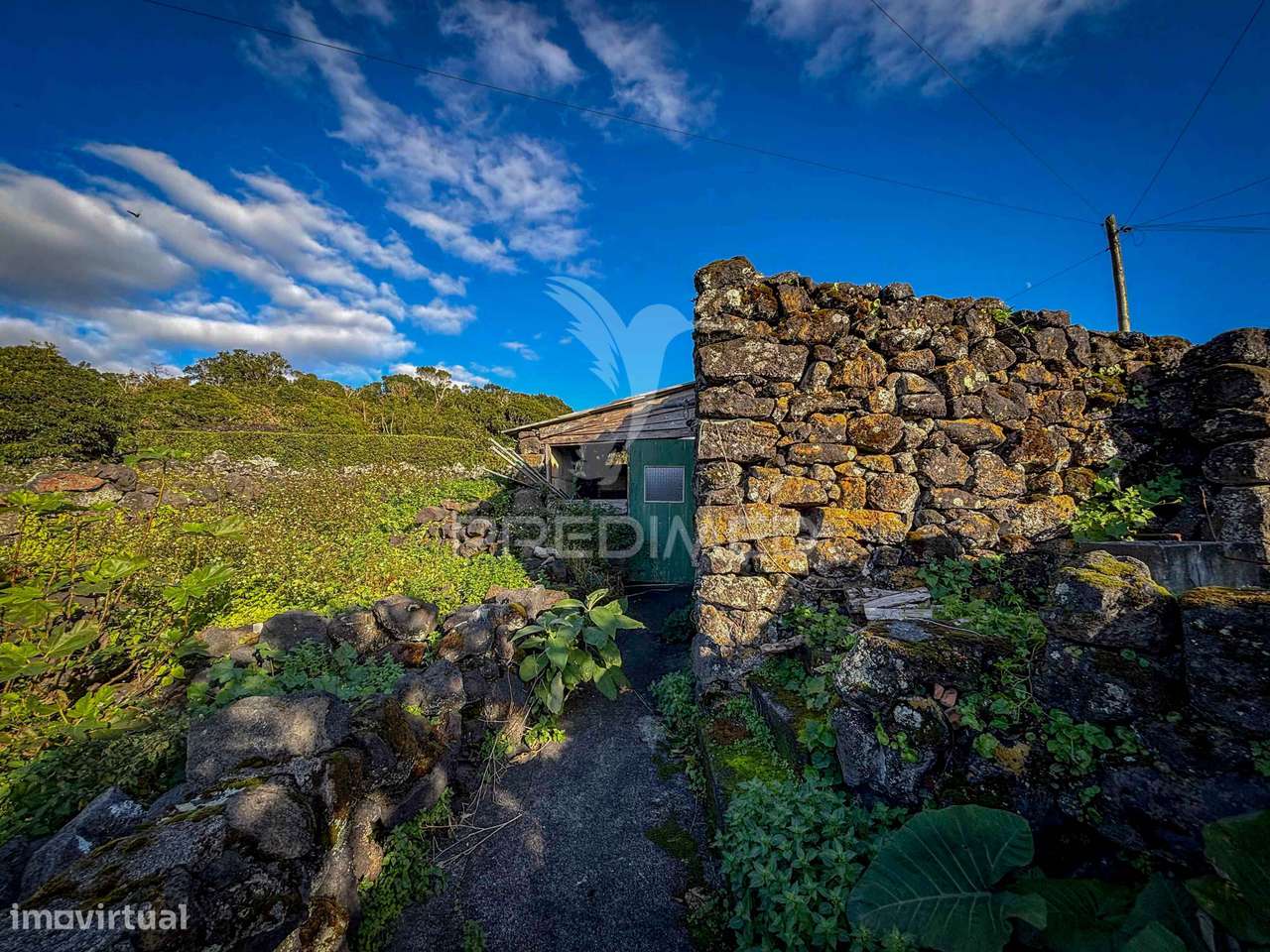 T1 com Vista Mar, Terreno – Candelária, Madalena do Pico - Grande imagem: 5/13