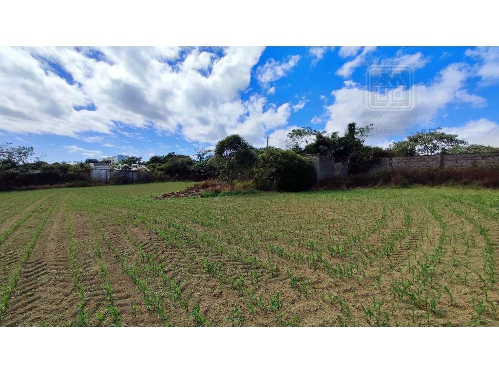 VENDA de TERRENO com potencial para construção - São José, Ponta De... - Grande imagem: 5/11