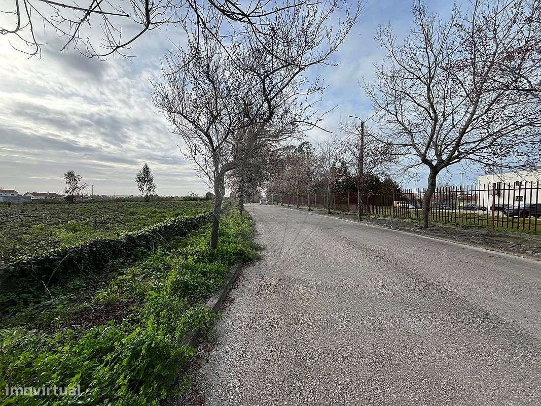 Terreno  para venda - Grande imagem: 5/8