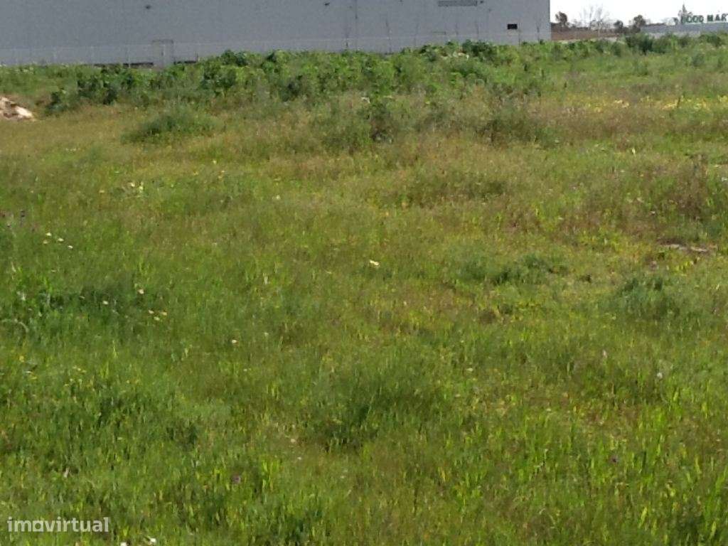 Centro Montijo terreno urbano aprovado para 6.000 m2 de construção ... - Grande imagem: 3/25