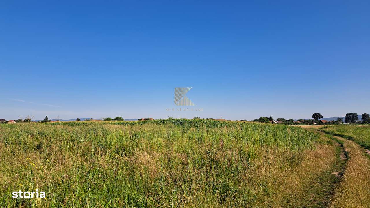 Posibilitate RATE | Teren Bod | curti constructii | utilitati | PUZ,-15