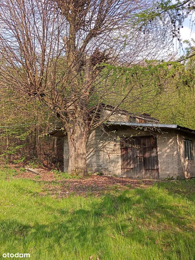 Magiczne siedlisko z lasem, rzeczką i historią-19