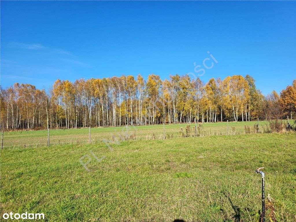 Malownicza nieruchomość - piękny widok-10