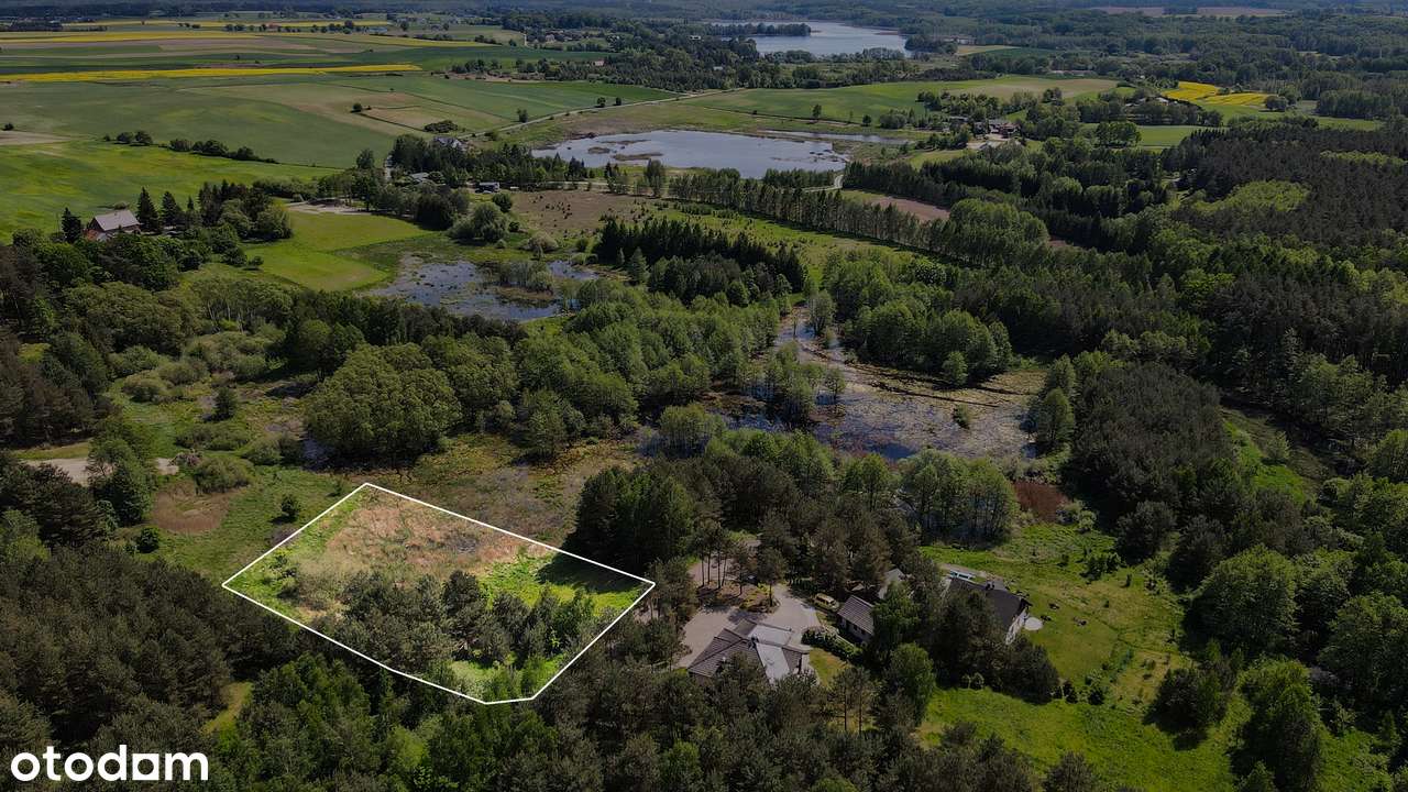 Przepiękna działka w Potrzanowie - Pełny obrazek: 5/7