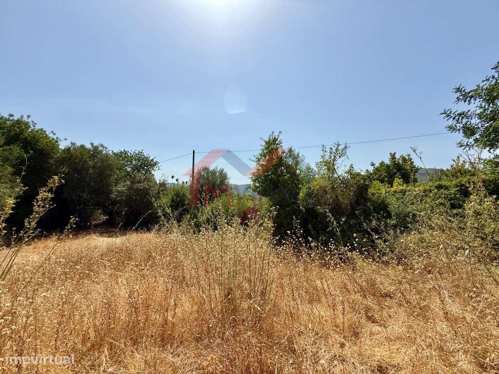 Terreno urbano com vista campo - São Brás de Alportel - Grande imagem: 5/6