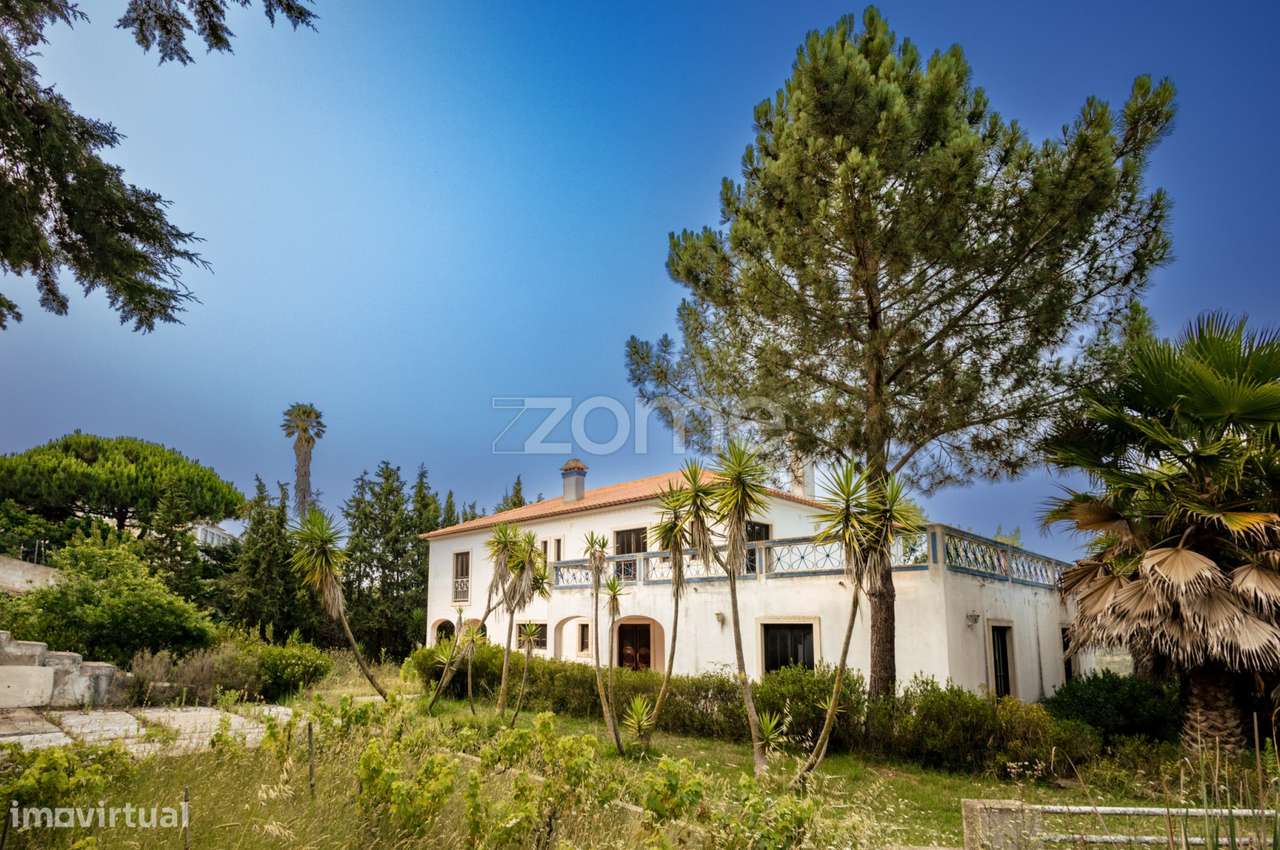 Moradia T4+1 na Carvoeira com terreno de 3437m2 - Grande imagem: 5/41