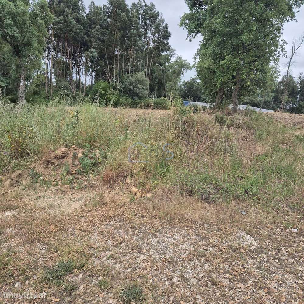 Terreno com 4.560 m² e Viabilidade de Construção – Casais, FZZ-6