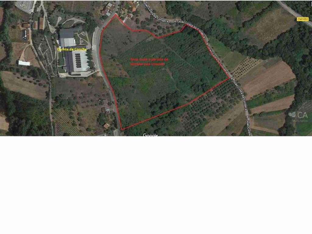 Terreno - Grande imagem: 1/6