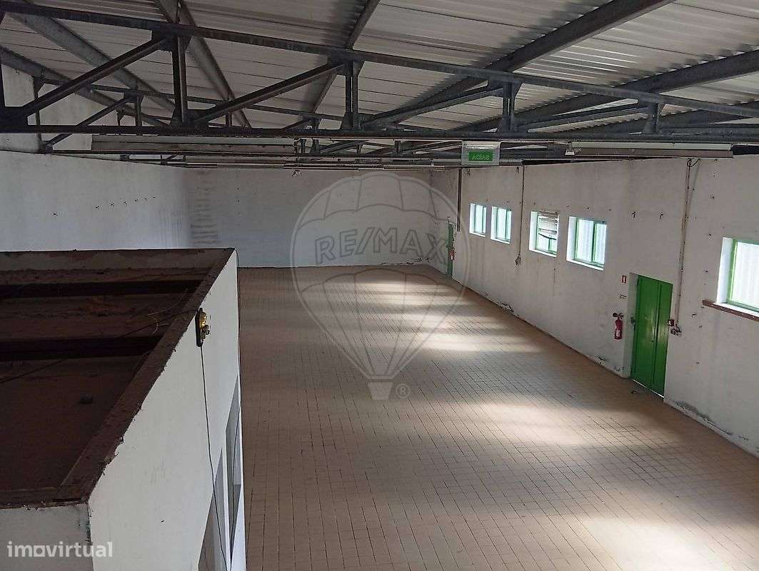 Armazém  para arrendamento - Grande imagem: 5/8