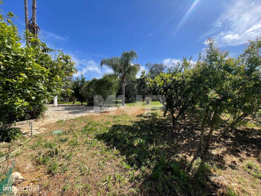 Quinta com 3 quartos e forno em Santa Bárbara de Nexe, Faro.-34