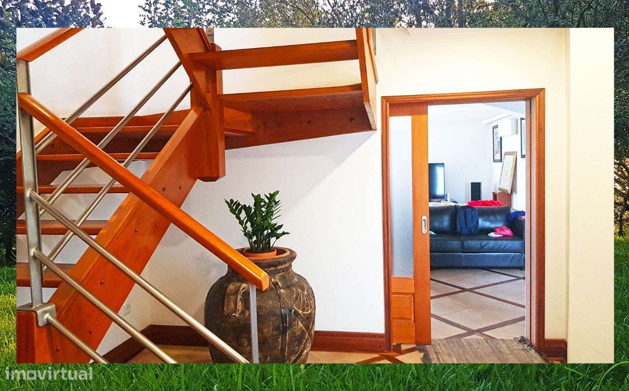 Quintinha com Mata secular-34