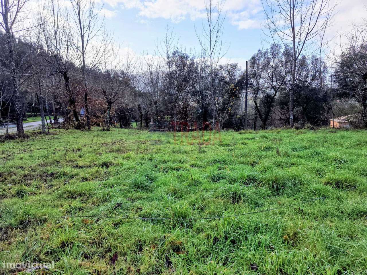 Terreno para construção 1.600 m2 em Balança - Terras de Bouro-6