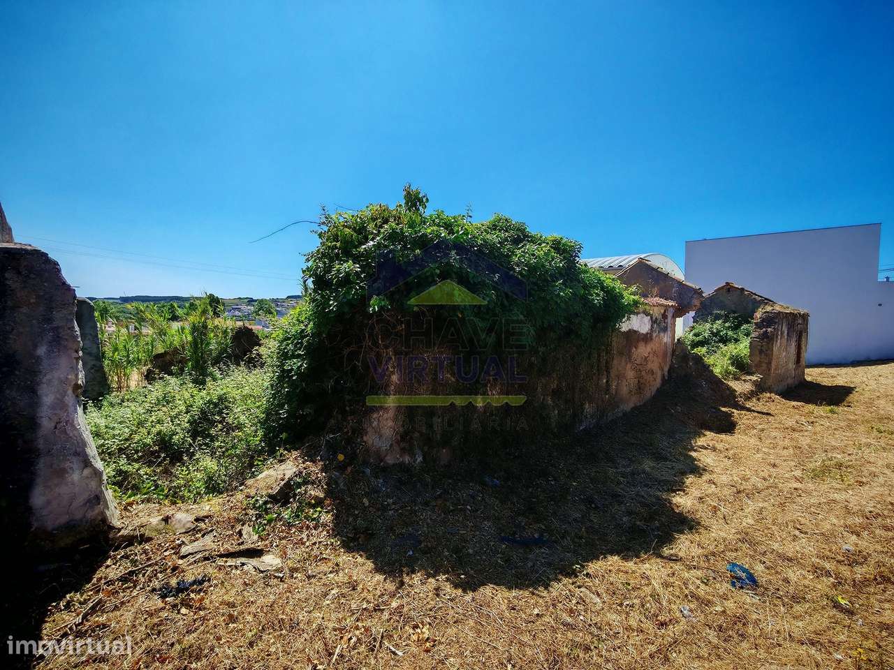 Terreno para Construção Delgada - Bombarral-6