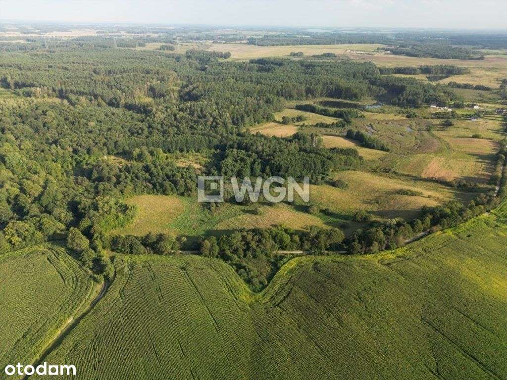 Mazury – Twoje miejsce na dom w sercu natury - Pełny obrazek: 2/12