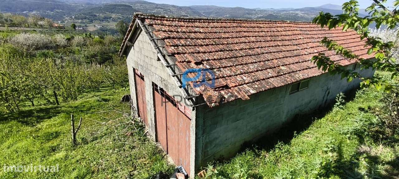 Quinta do Valado- Excelente Investimento em Resende-35