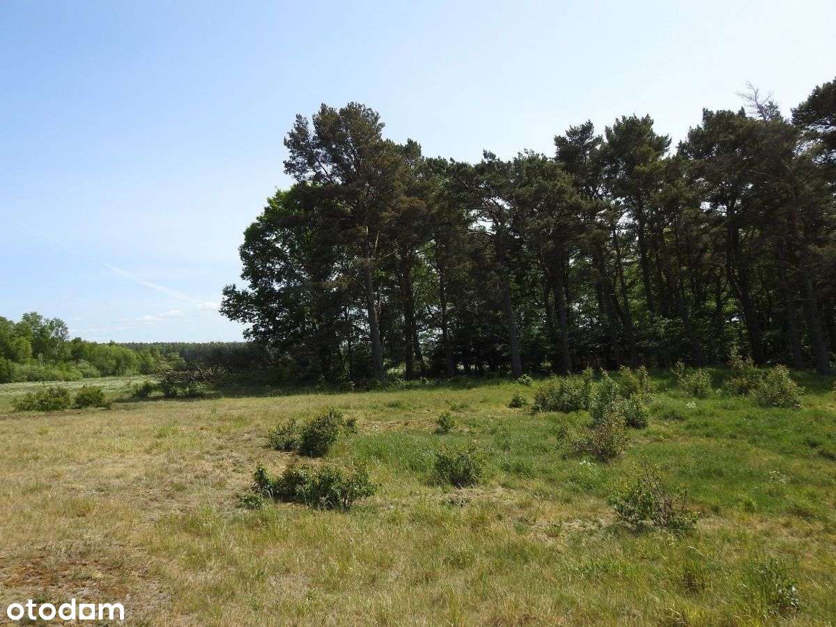 Magiczne Stilok. Łeby - Pełny obrazek: 5/13