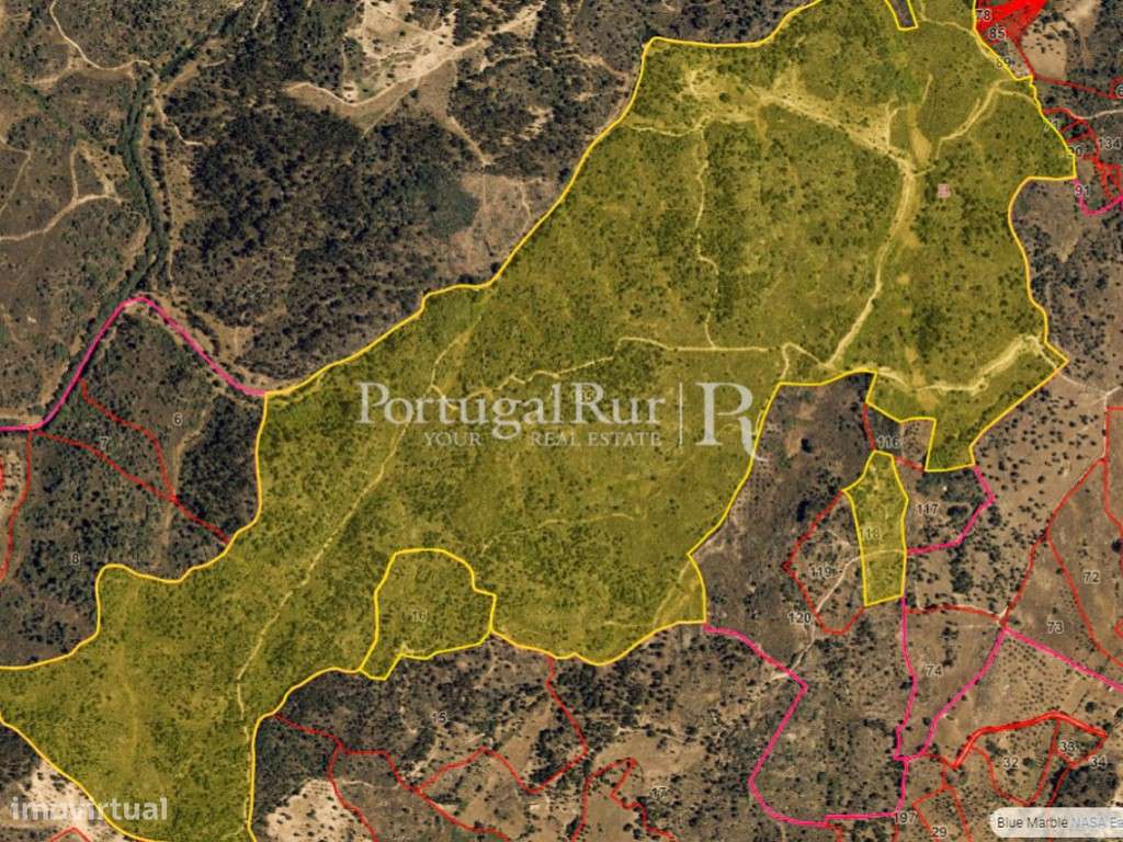 Herdade com 108 hectares em Idanha-a-Nova - Grande imagem: 2/14