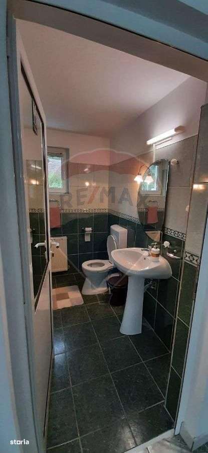 Cabana de vânzare în Valea Mănăstirii, Alba-9