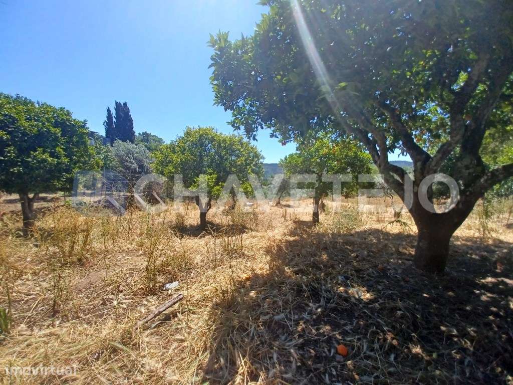 Terreno com 800 m2 perto da albufeira do Castelo do Bode. - Grande imagem: 5/7