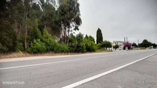 Terreno para venda na N109 em Vagos - Grande imagem: 4/12