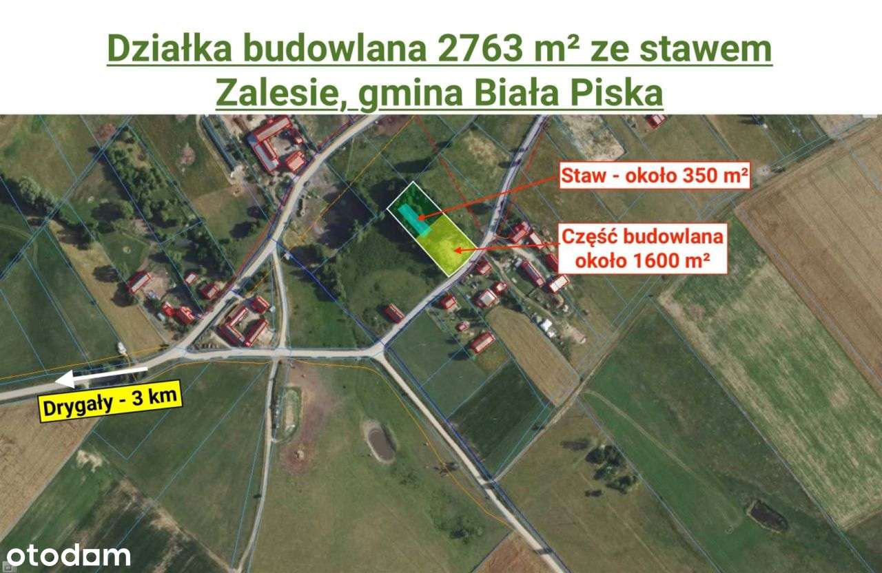 Budowlana 2763 m² ze stawem, Zalesie, Biała Piska - Pełny obrazek: 4/10