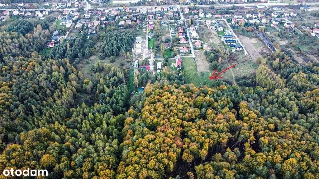 Działka budowlana z własnym lasem-5