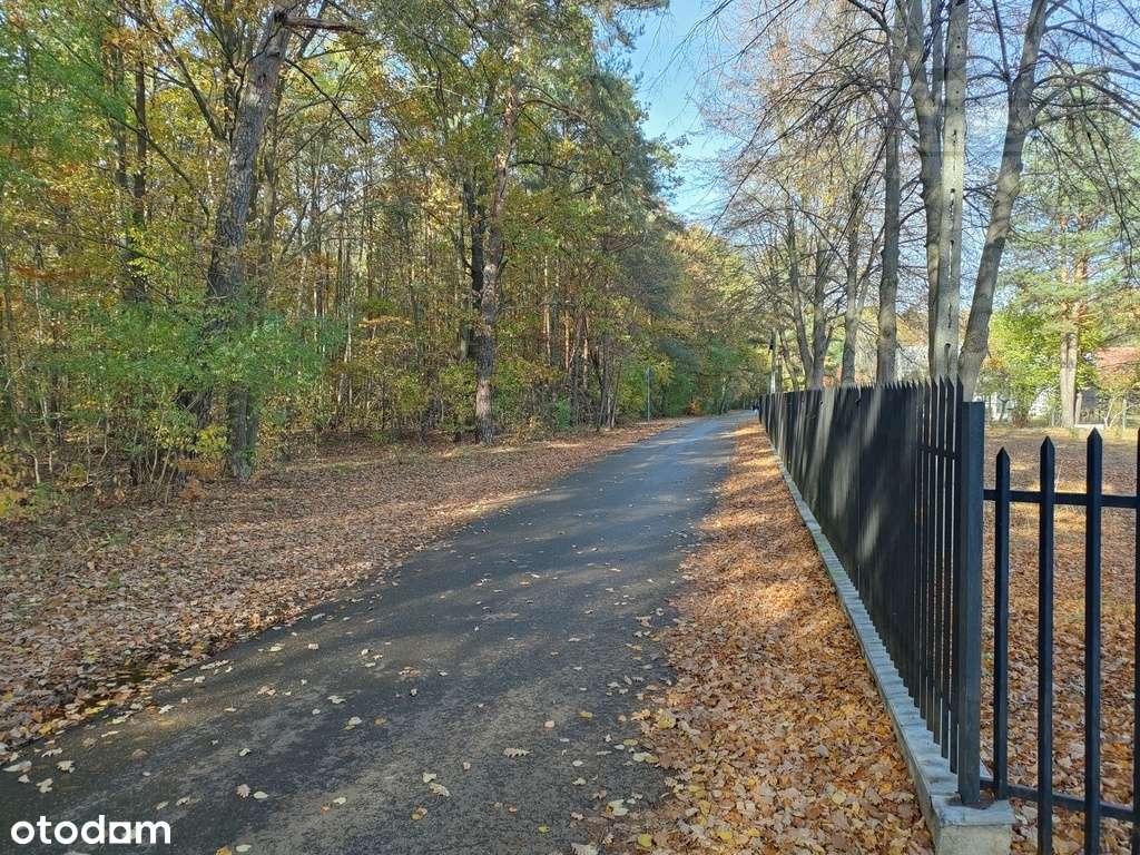 Działka przy lesie w Rozalinie - Pełny obrazek: 5/9