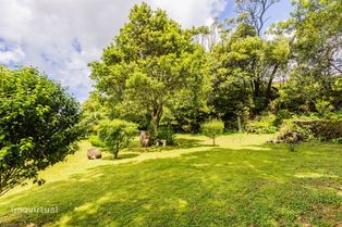 Terreno para Construção no Pico da Pedra - Grande imagem: 3/9