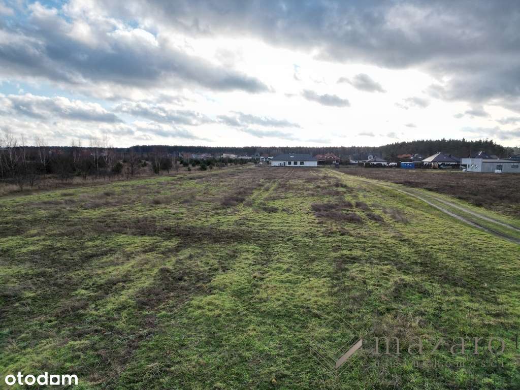 Łochowo, Działki w atrakcyjnej cenie, WZ - Pełny obrazek: 4/4