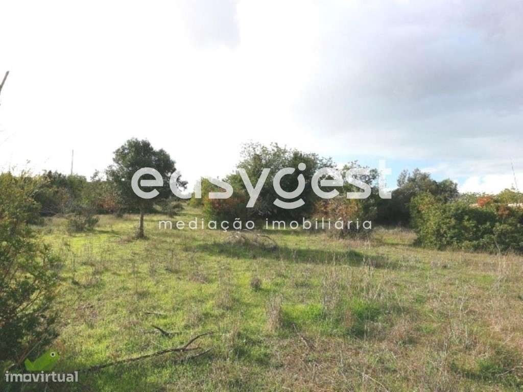 Terreno Rústico Em Pego - Grande imagem: 4/6
