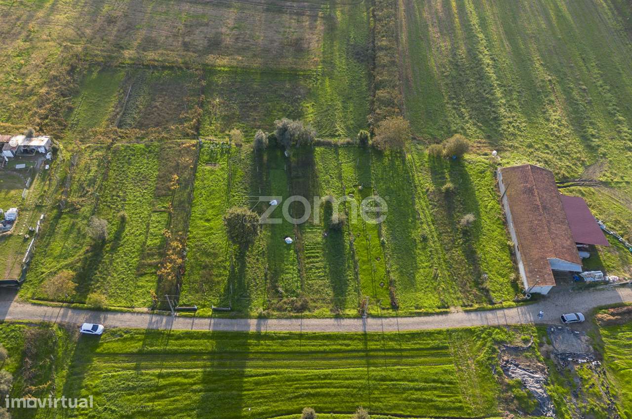 Leiras do Talho - c/ 872 m², em Sobreira. - Grande imagem: 5/15