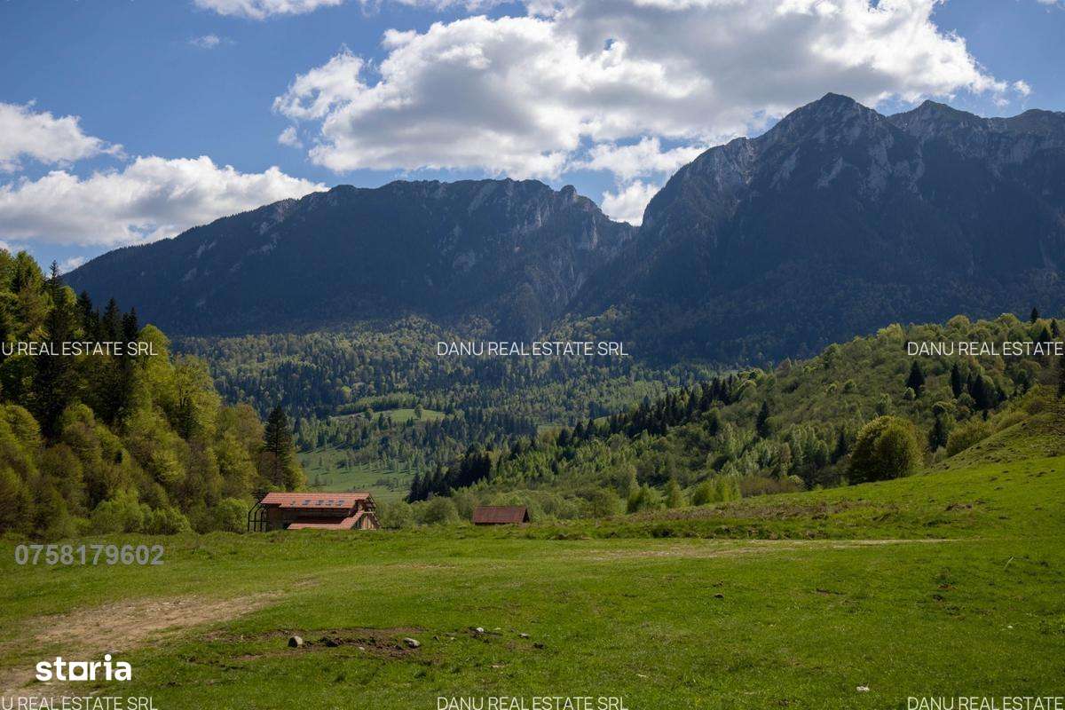 Zarnesti Barsa Fierului-Teren 1893mp-fantana si acces parau-comision0%-6