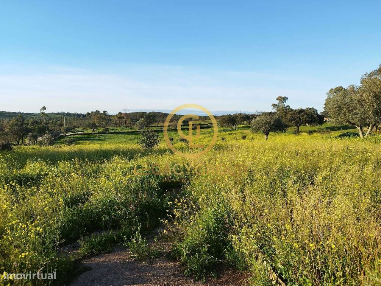 TERRENO COM 13.250M2 EM CABEÇA DE CARNEIRO - Grande imagem: 5/47