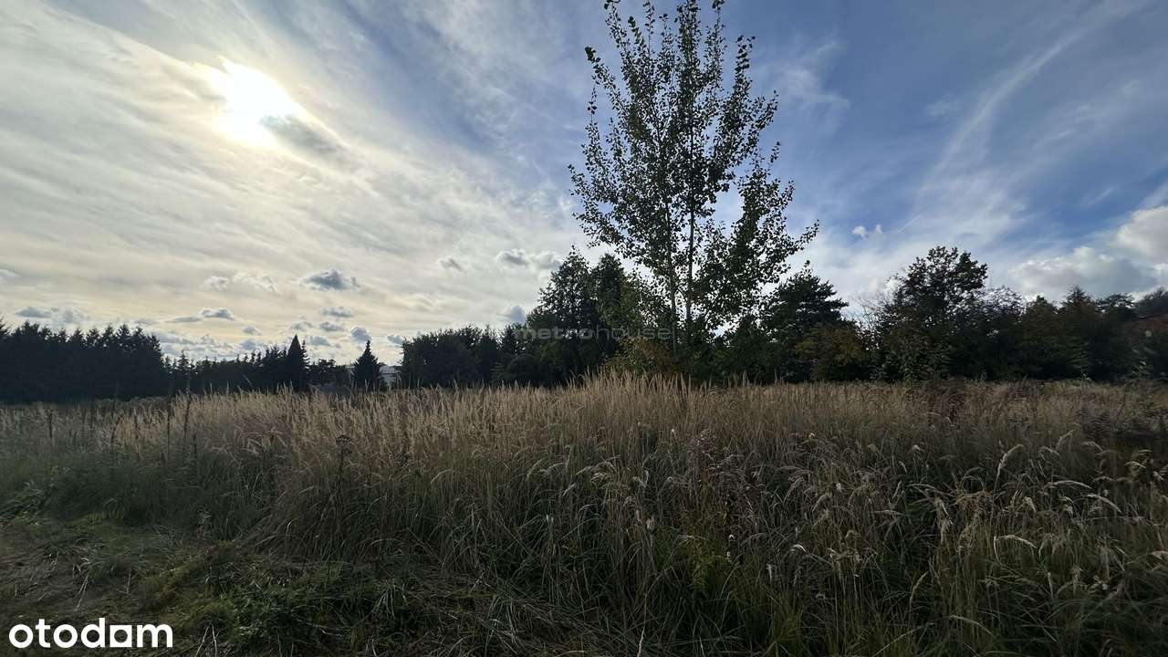 Atrakcyjna działka budowlana na Złotnie - Pełny obrazek: 2/7