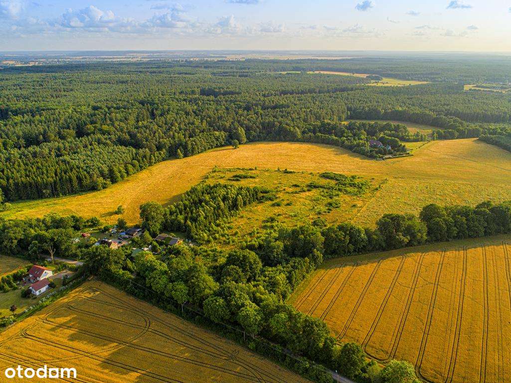 7 km od plaży w Łebie. Ostatnie działki! - Pełny obrazek: 4/10