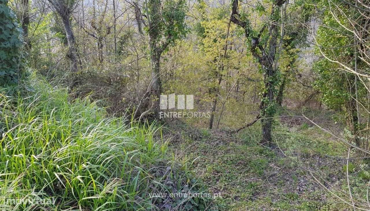 Venda Terreno, Várzea de Ovelha e Aliviada, Marco de Canaveses - Grande imagem: 5/25