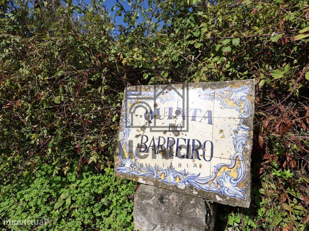 Oportunidade Única de Investimento Agrícola em Alenquer-25