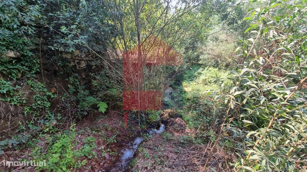 Moinho Paredes de Coura - Grande imagem: 4/14