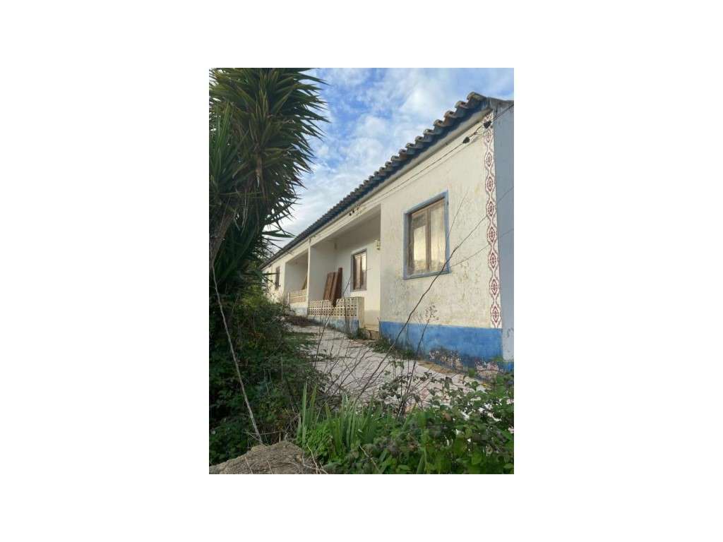 EXCLUSIVO! Quinta com Enorme Potencial no Coração do Alentejo Um Re...-25