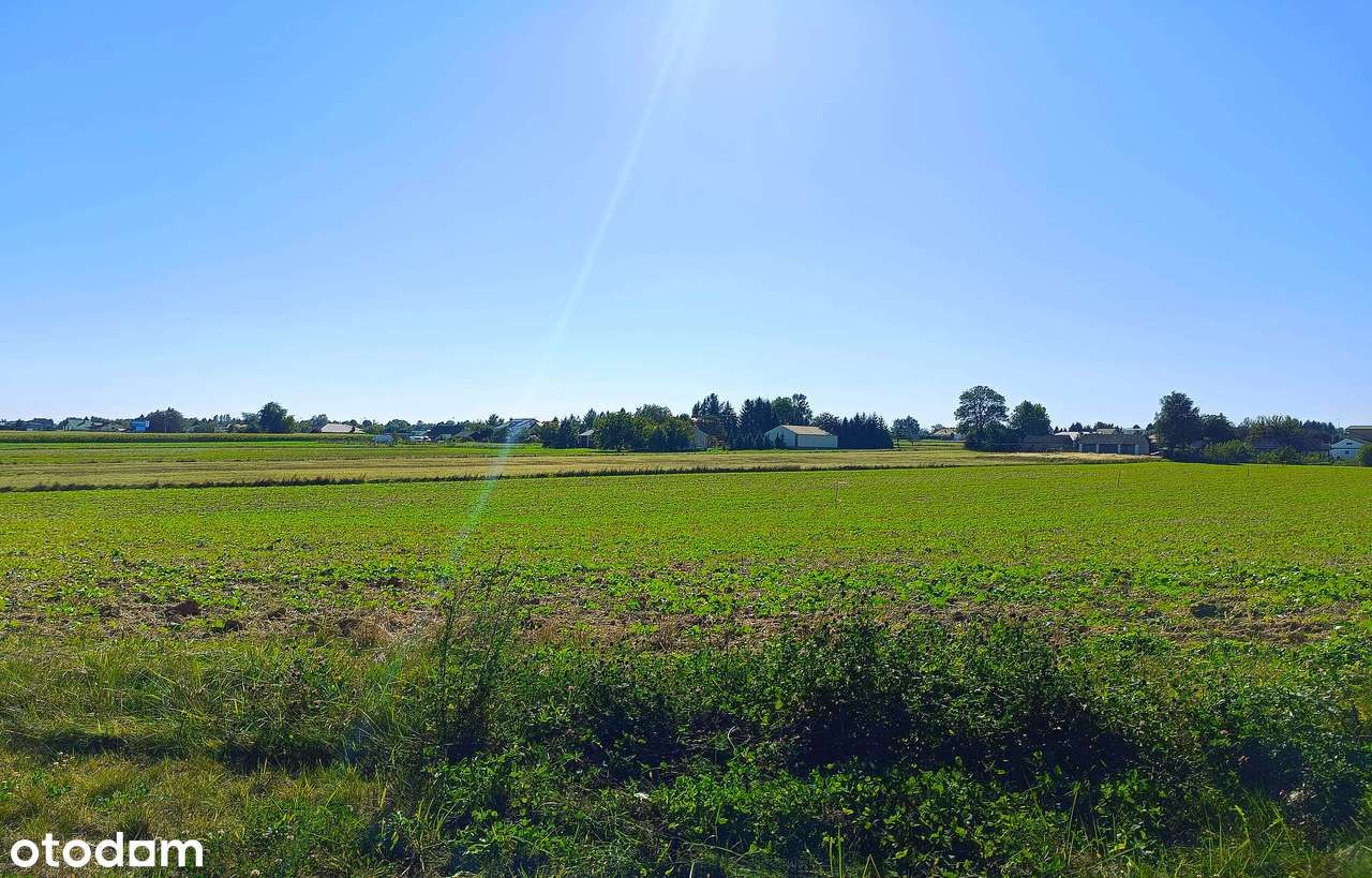 Działki budowlane Płoskie - Pełny obrazek: 5/12