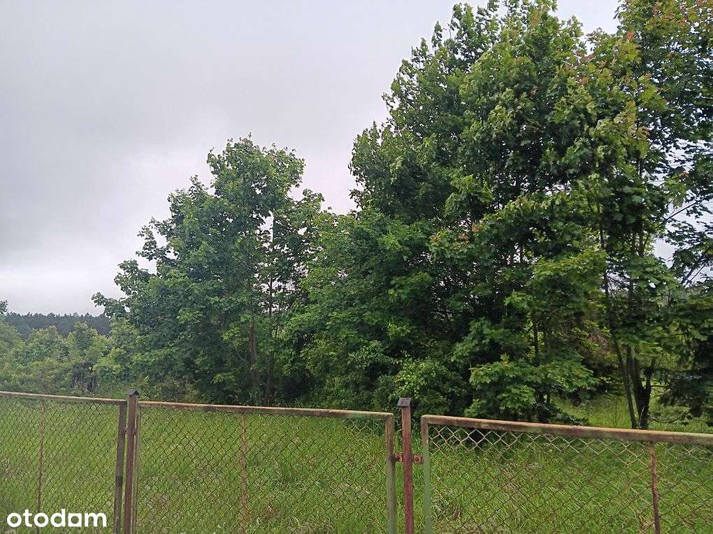 Działka budowlana w Nowym Barkoczynie obok lasu przy ulicy Pogodnej - Pełny obrazek: 5/7