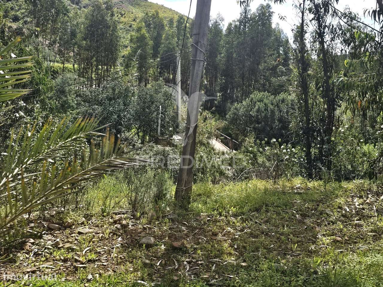 Terreno Rustico c/projeto - Grande imagem: 3/10