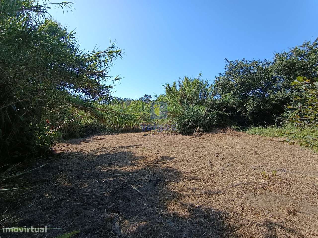 Terreno com 550m2 em Salir do Porto, com possibilidade de construir um - Grande imagem: 4/9