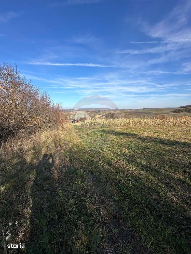 DE VANZARE - teren in ograda - Imagine principală: 3/4