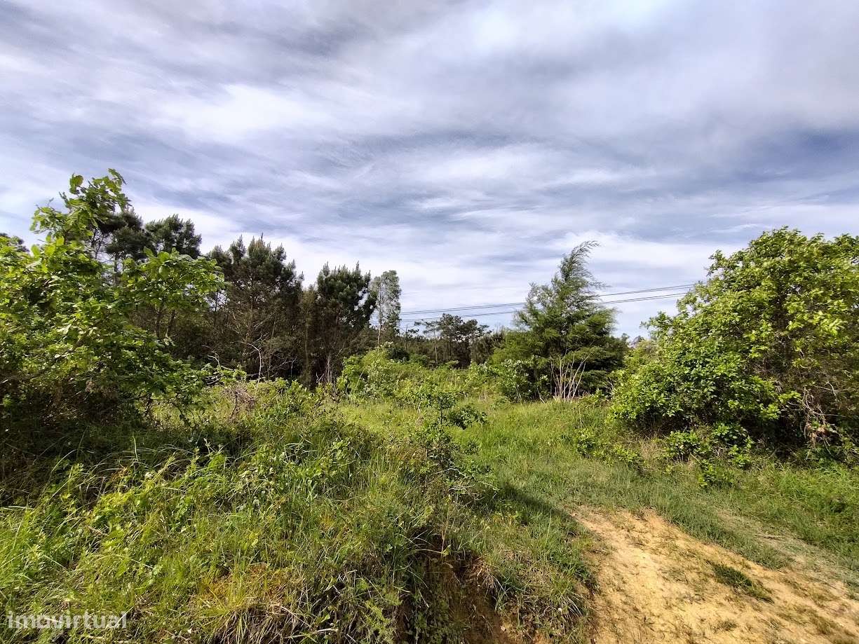 Terreno  Venda em Maiorca,Figueira da Foz - Grande imagem: 2/9